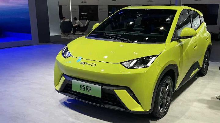BYD Dolphin Mini Sudah Terdaftar di Indonesia, Siap Tantang Wuling Air ev?